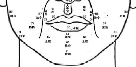 面相 看到鼻孔|麦玲玲面相讲座之 鼻子 – 人相学